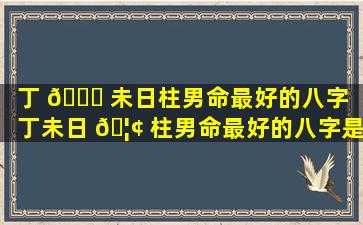 丁 🐎 未日柱男命最好的八字「丁未日 🦢 柱男命最好的八字是什么」